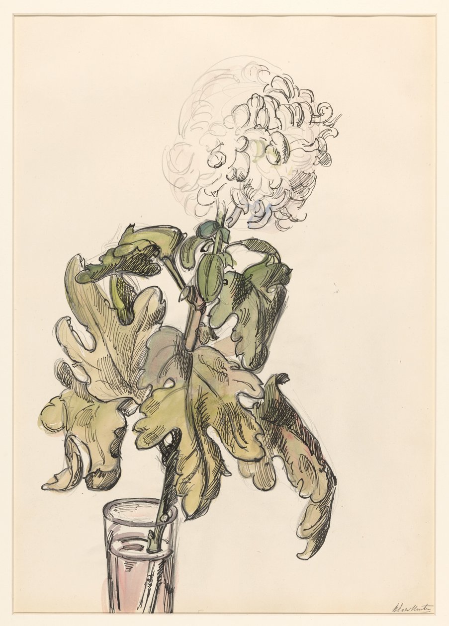 Crisantemo in fiore in un vasetto da Barbara Elisabeth van Houten