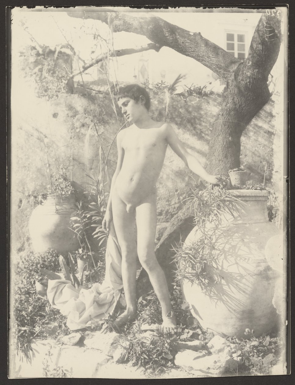 [Giovane nudo in giardino] da Baron Wilhelm von Gloeden