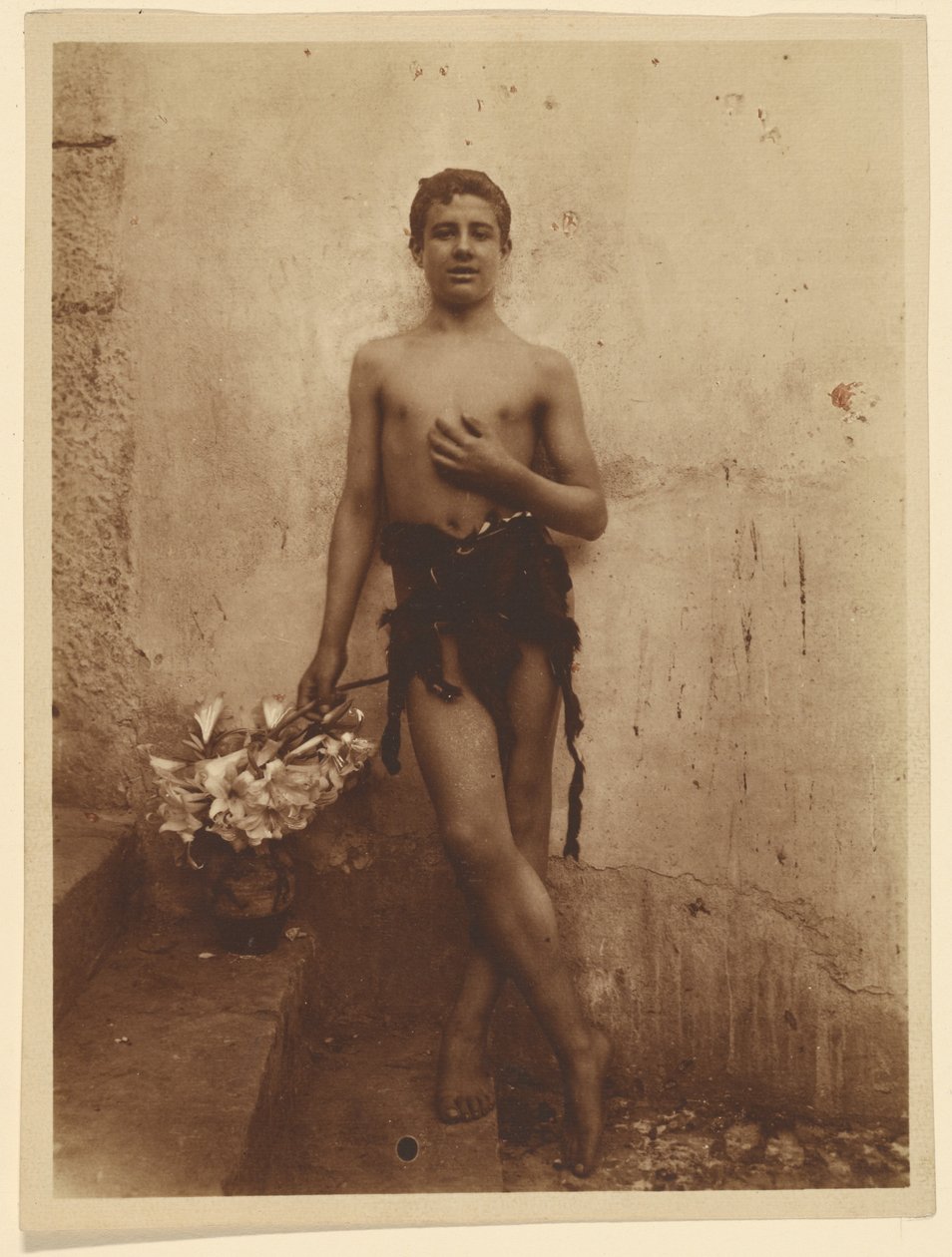 [Gioventù con i lillà] da Baron Wilhelm von Gloeden
