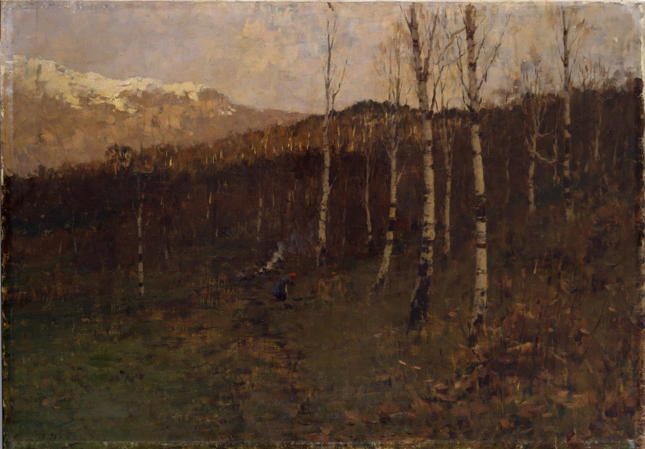 Bosco ceduo da Bartolomeo Bezzi