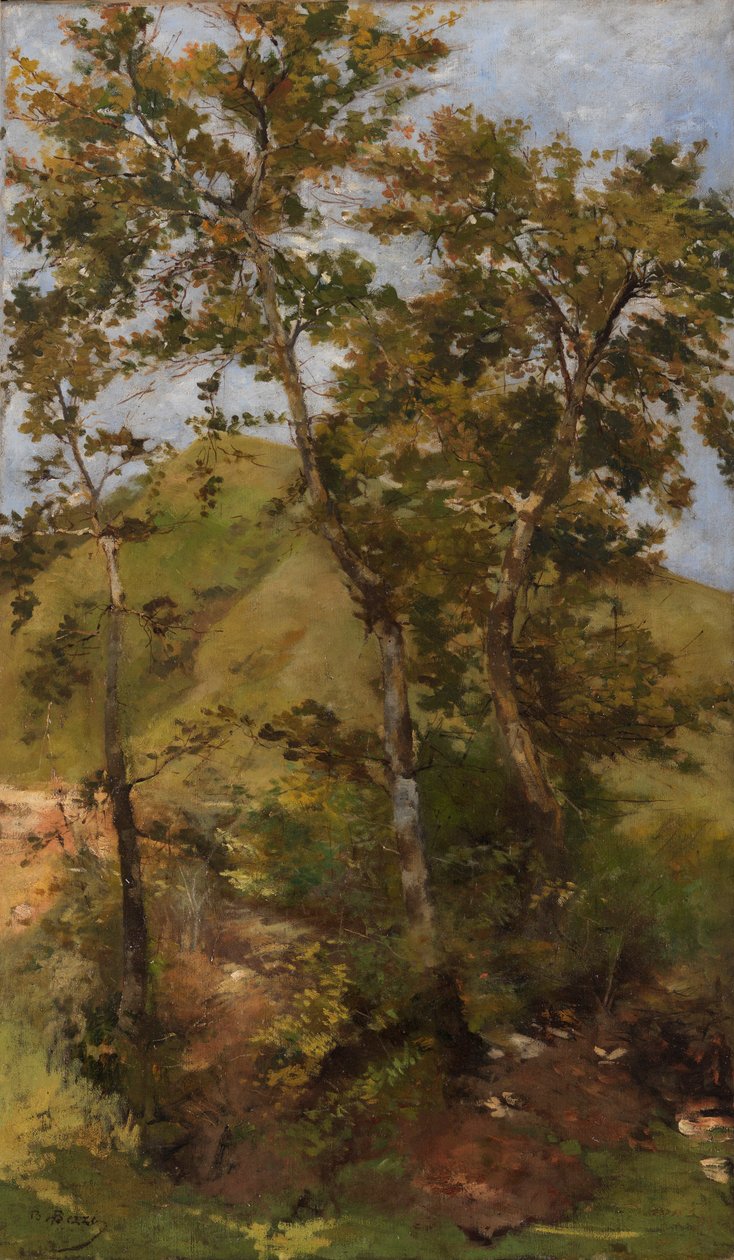 Ruscello da Bartolomeo Bezzi