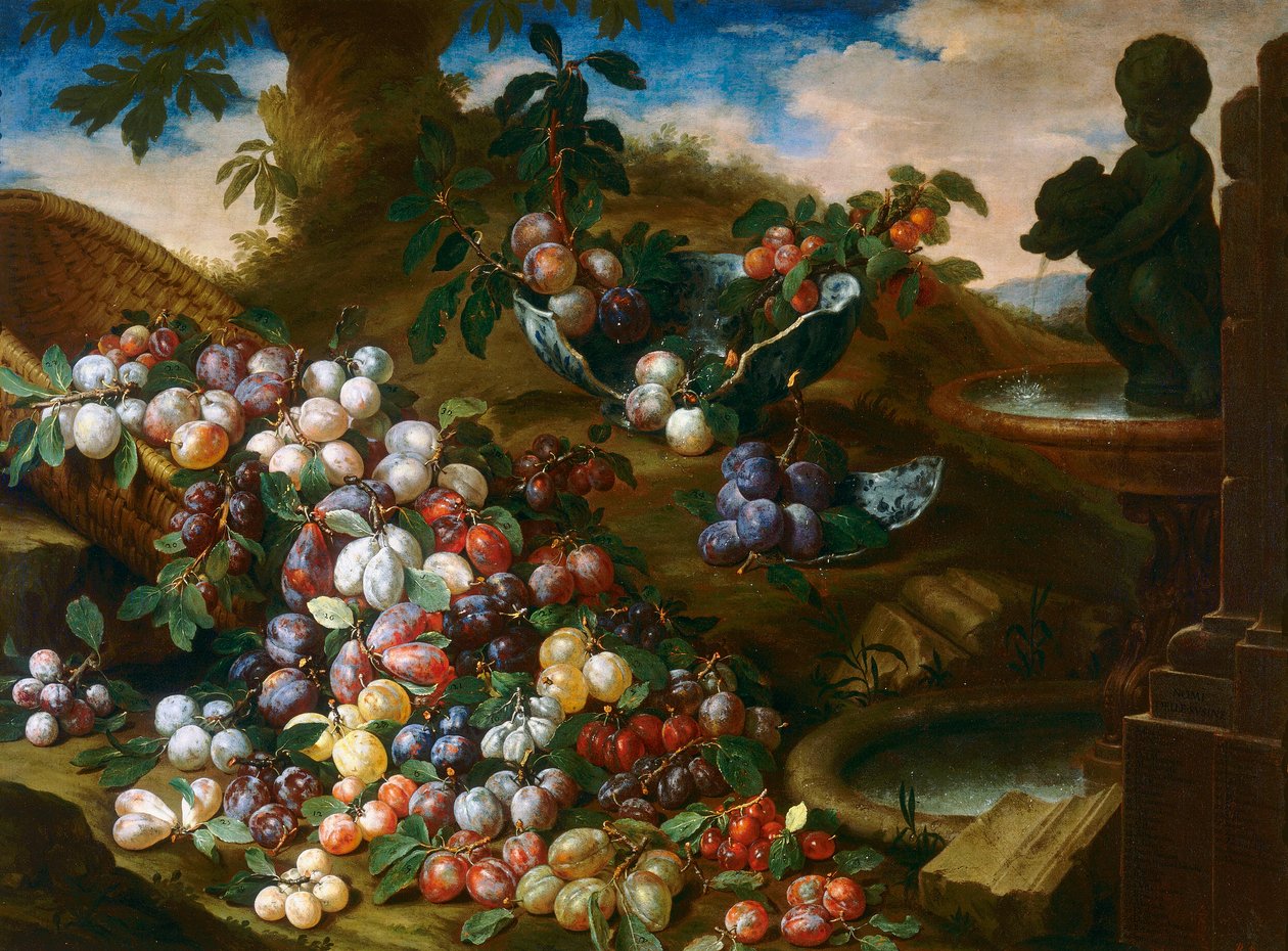 Prugne da Bartolomeo Bimbi