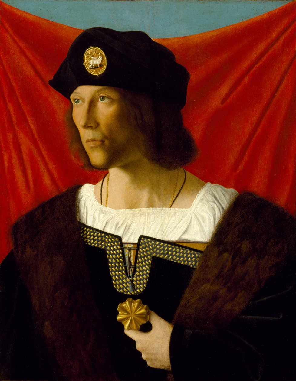 Ritratto di un uomo, c.1512 da Bartolomeo Veneto