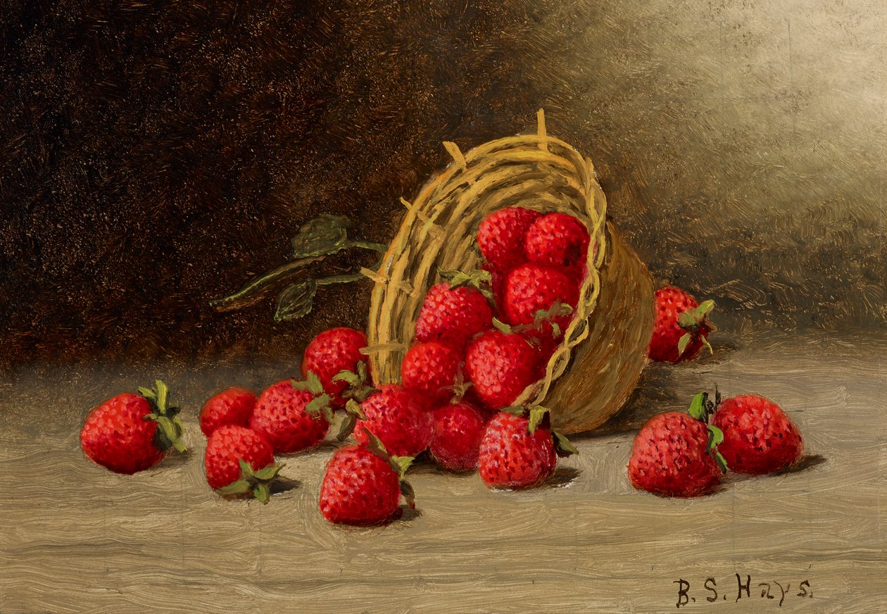 Fragole da Barton S. Hays