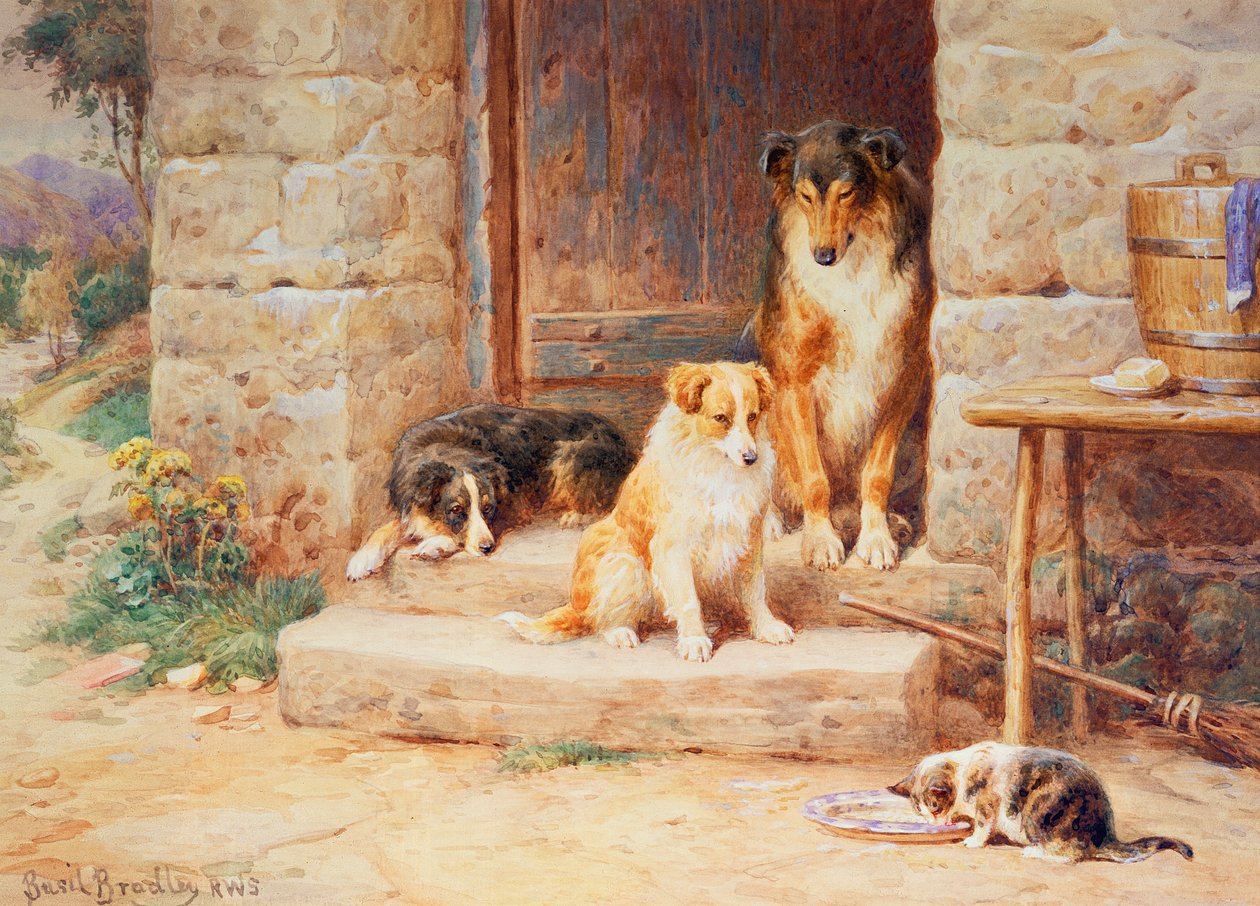 Vivi e Lascia Vivere da Basil Bradley