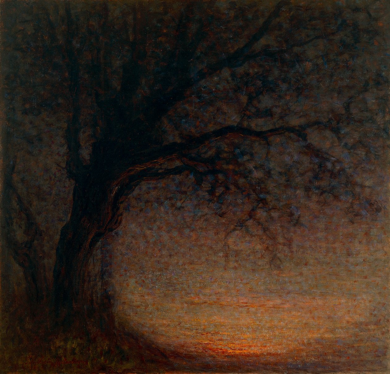 Albero morto da Battista Constantini