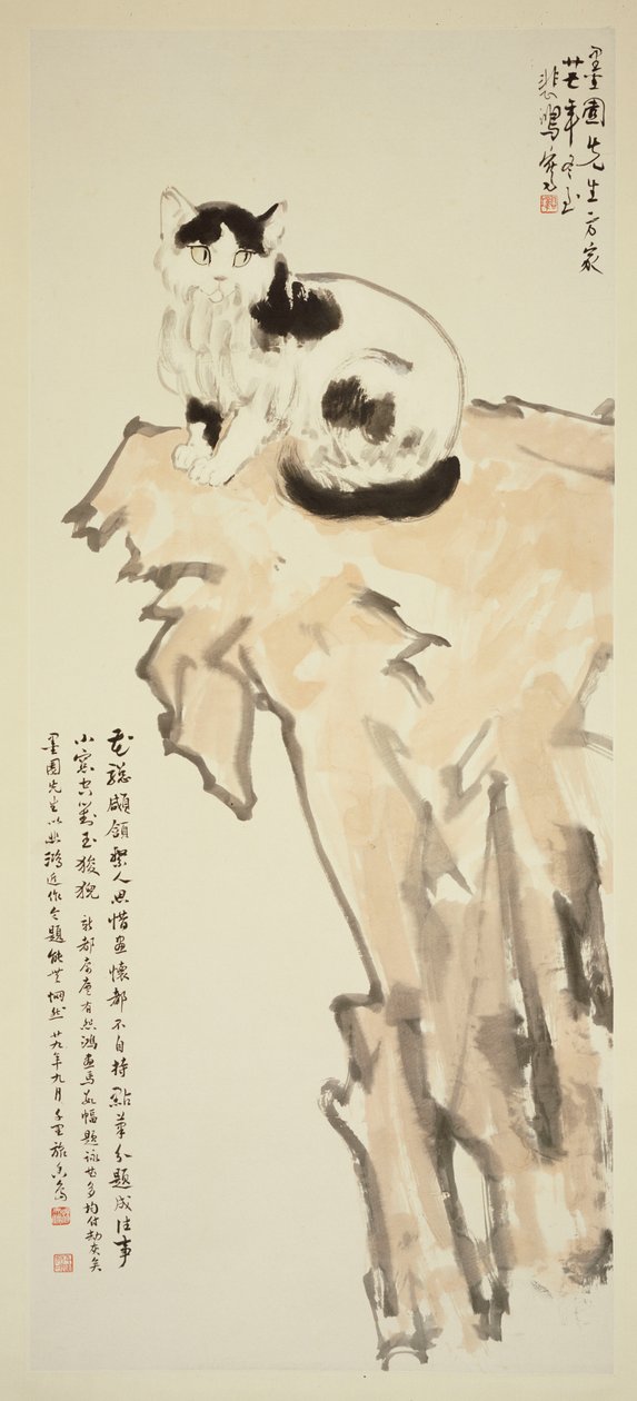 Un gatto seduto su una roccia da Beihong Xu