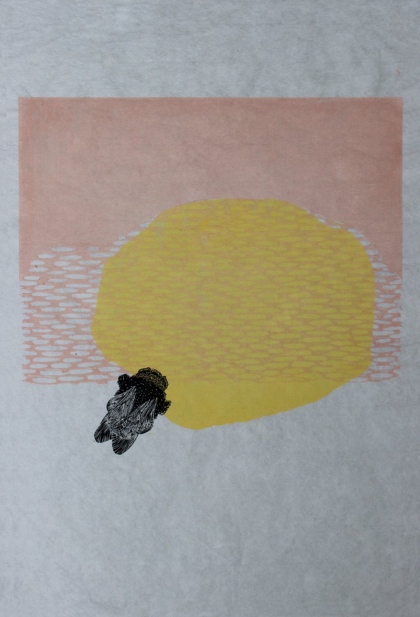 Bombo e sole, 2013 da Bella Larsson