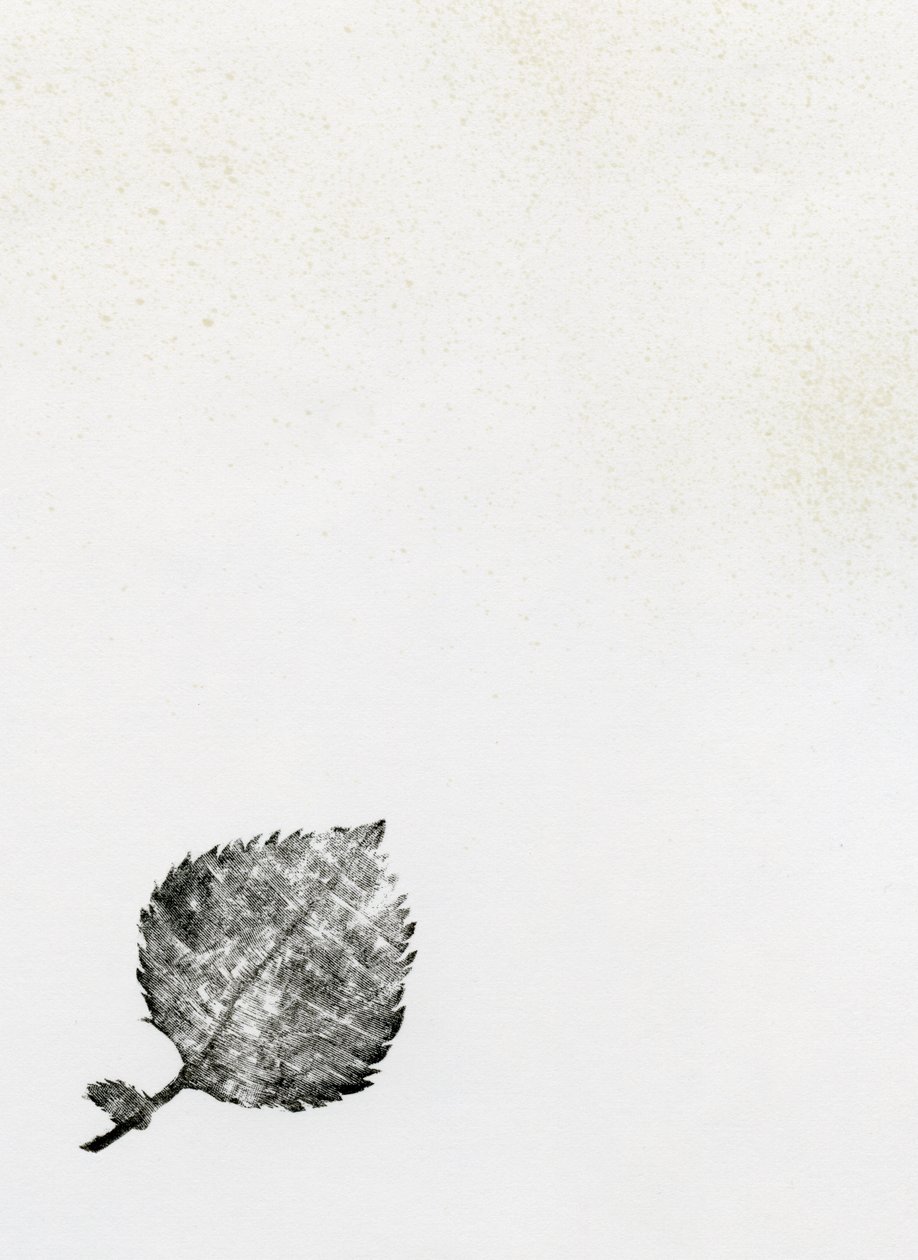 Foglia {Polvere di Fata}, 2014 da Bella Larsson