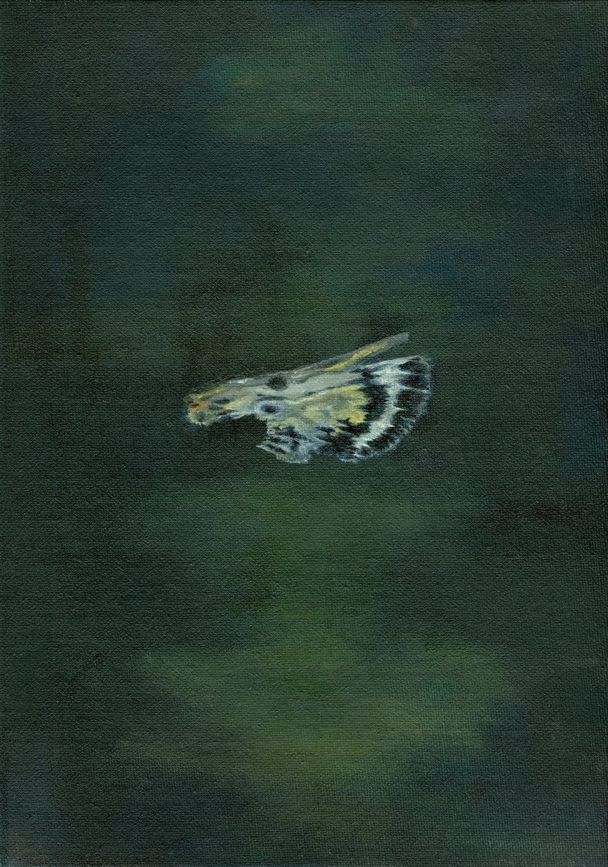 Ala di Falena, 2014 da Bella Larsson