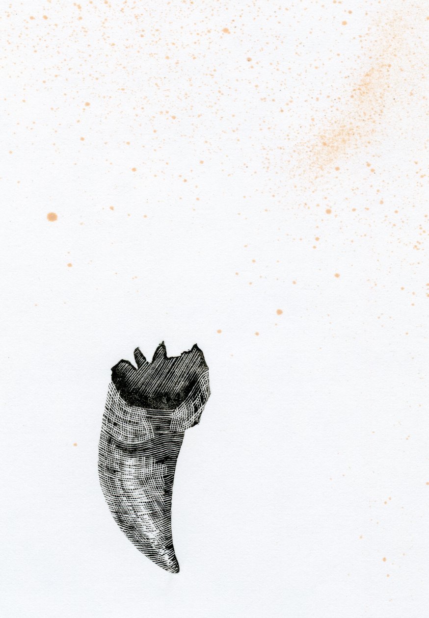 Dente {Fay-erie Dust}, 2014 da Bella Larsson