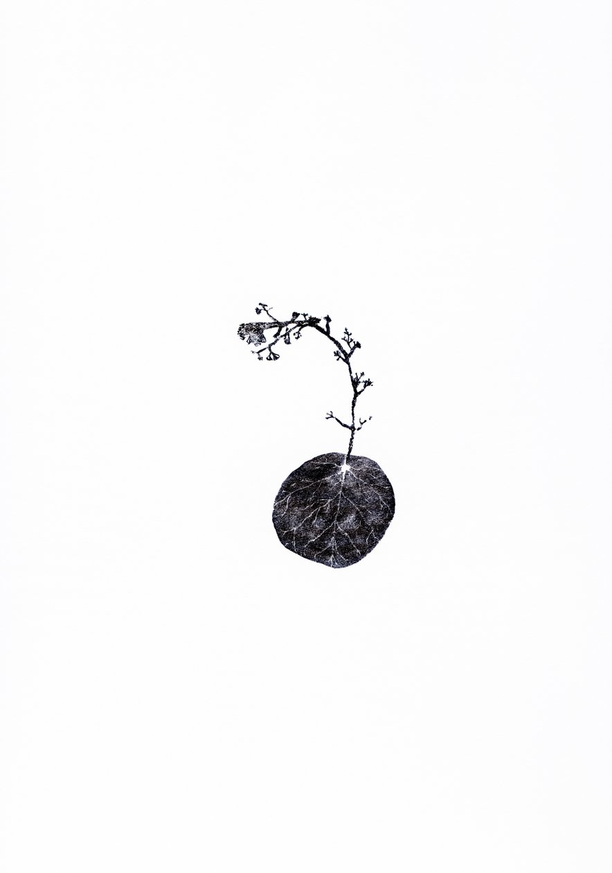 Rimorchiatore, 2014 da Bella Larsson