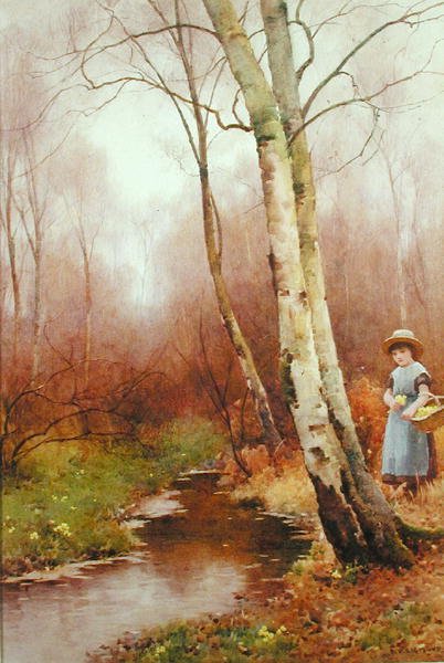 Raccolta di primule da Benjamin D. Sigmund