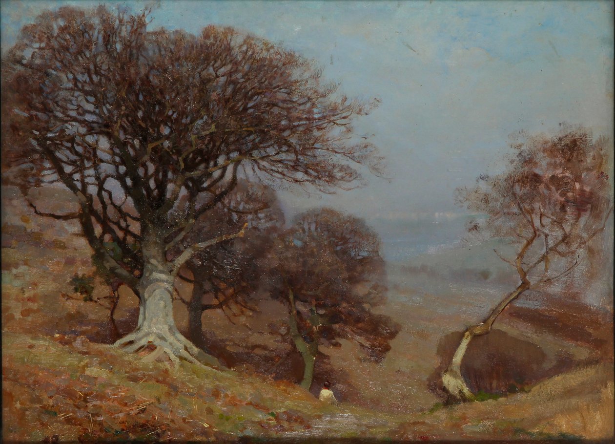 Faggi sui Quantocks, 1885-1924 da Benjamin Haughton