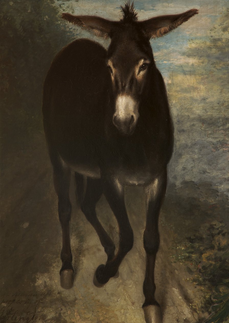 Un asino siciliano da Benjamin Haydon