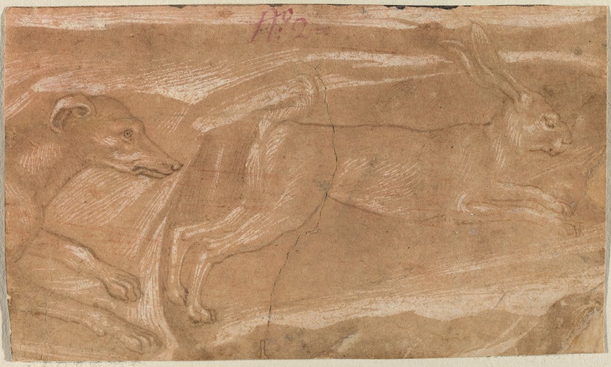 Un cane che insegue una lepre da Benozzo Gozzoli