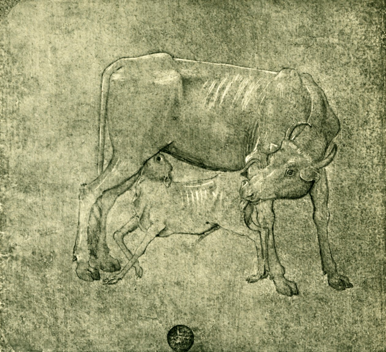 Mucca e vitello, metà-fine XV secolo, 1943 da Benozzo Gozzoli