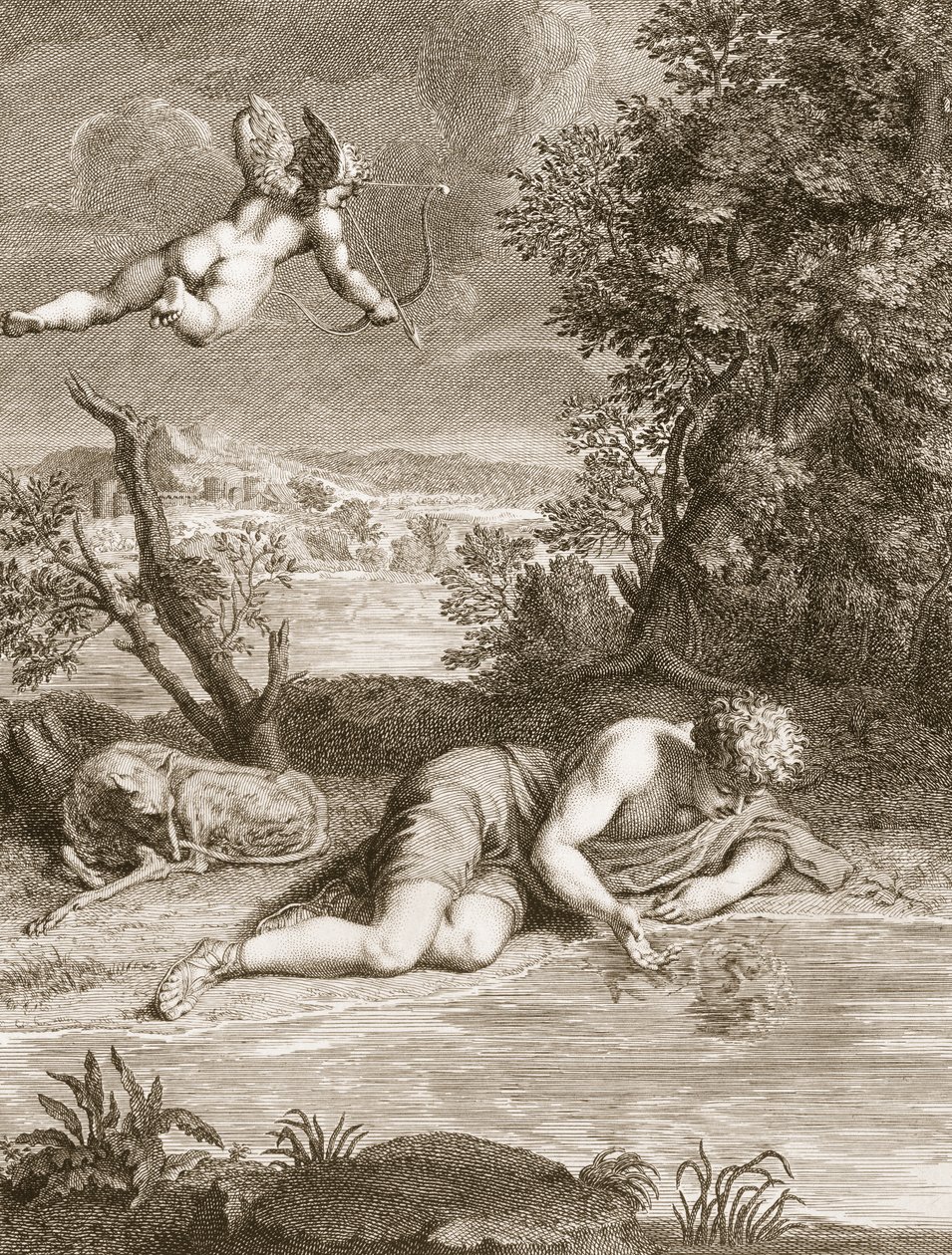 Narciso Trasformato in Fiore da Bernard Picart