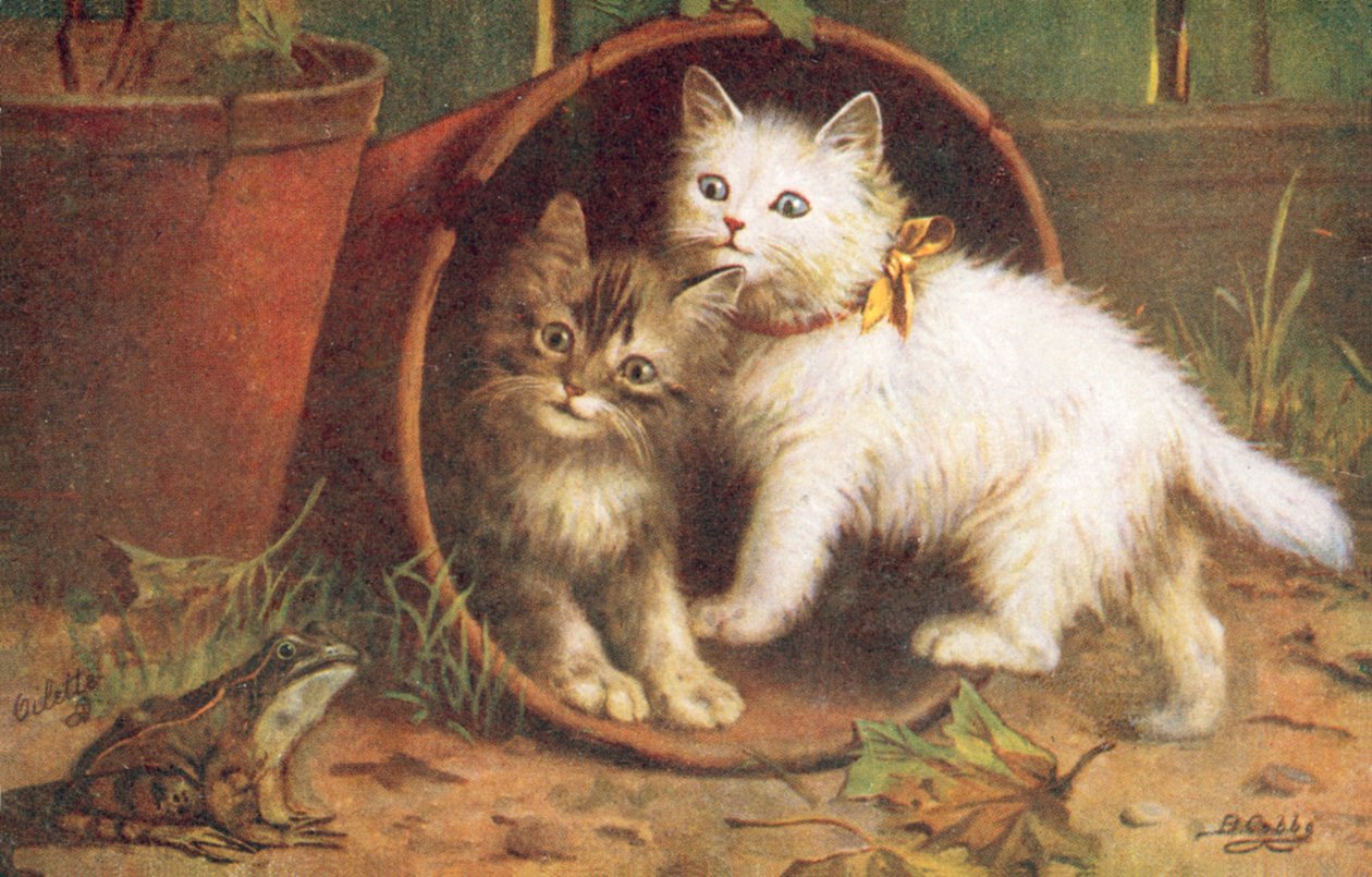 Cartolina del gatto da Bernard Cobbe