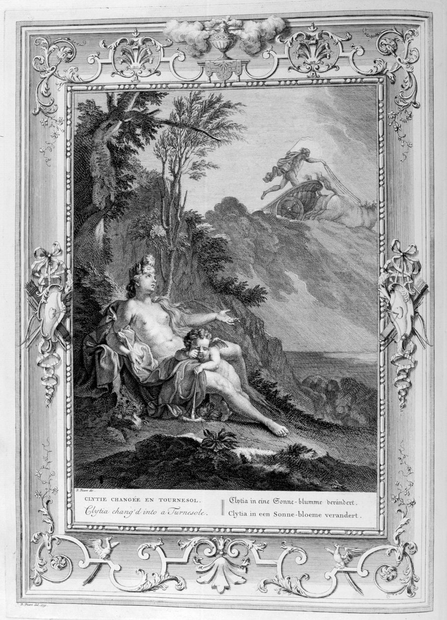Clytia trasformata in un girasole, 1733 da Bernard Picart