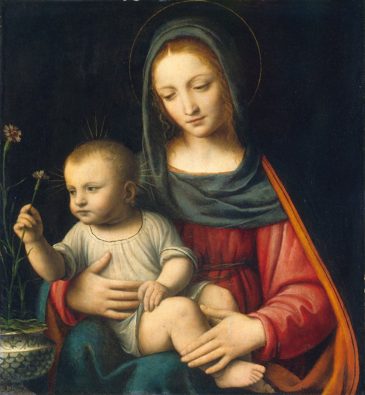 La Madonna del Garofano, c.1515 da Bernardino Luini