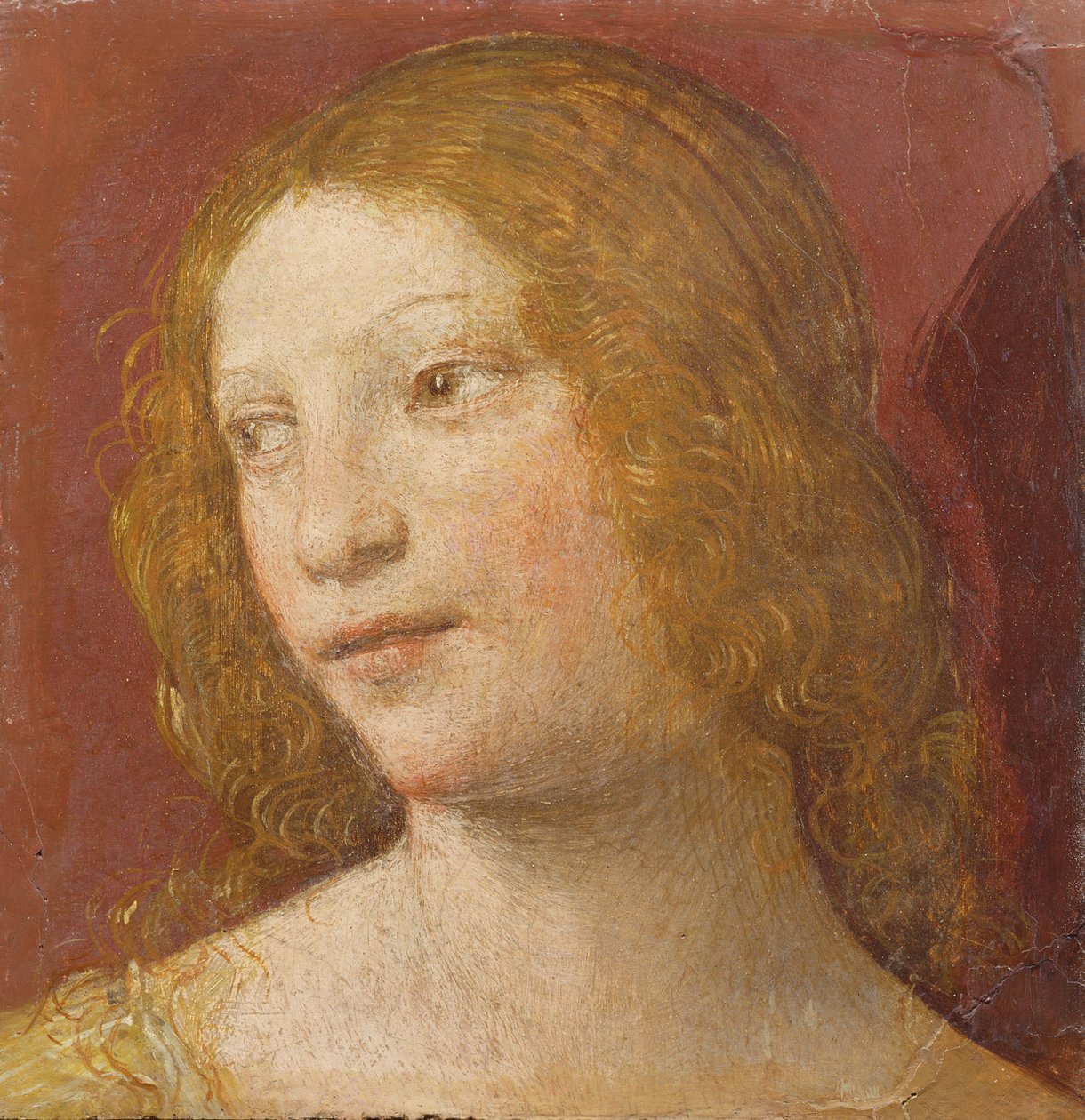Testa di una giovane donna da Bernardino Luini