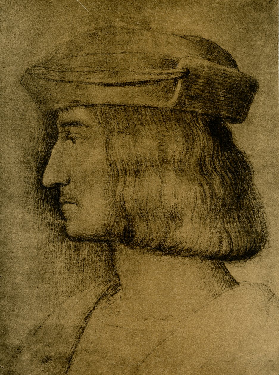 Ritratto maschile da Bernardino Luini