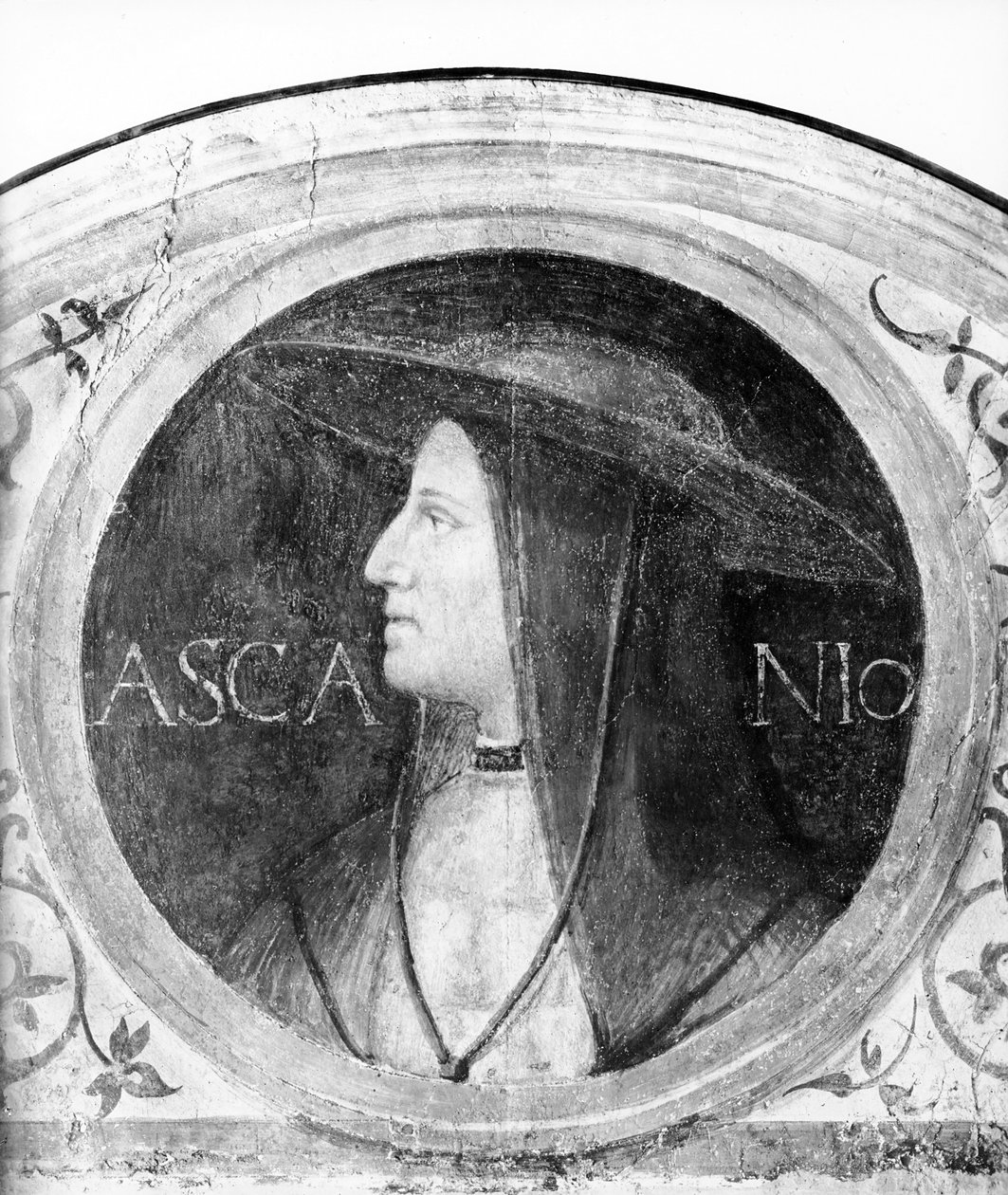 Ritratto del Cardinale Ascanio Sforza da Bernardino Luini
