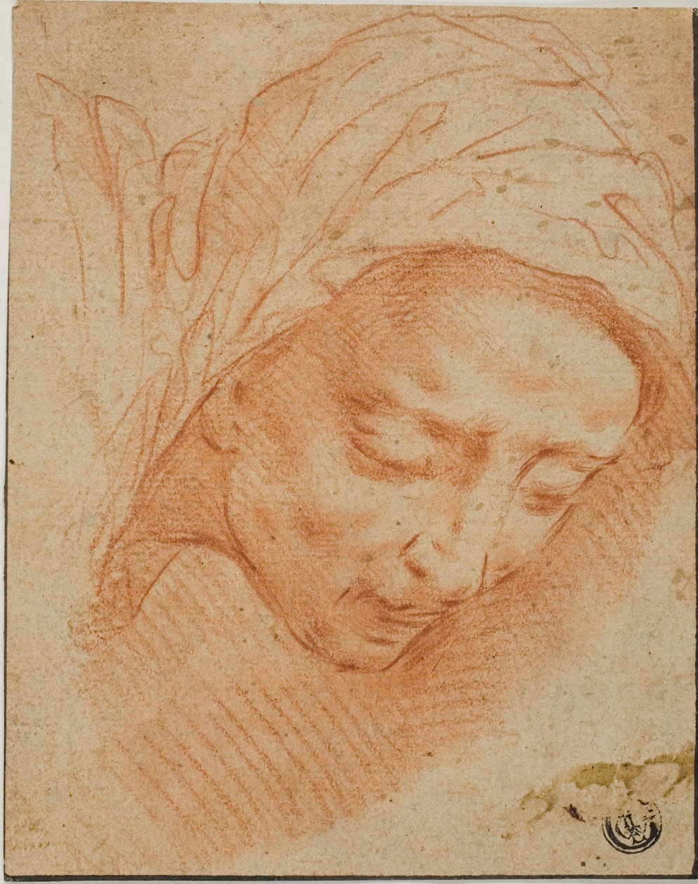 Testa di donna da Bernardino Poccetti
