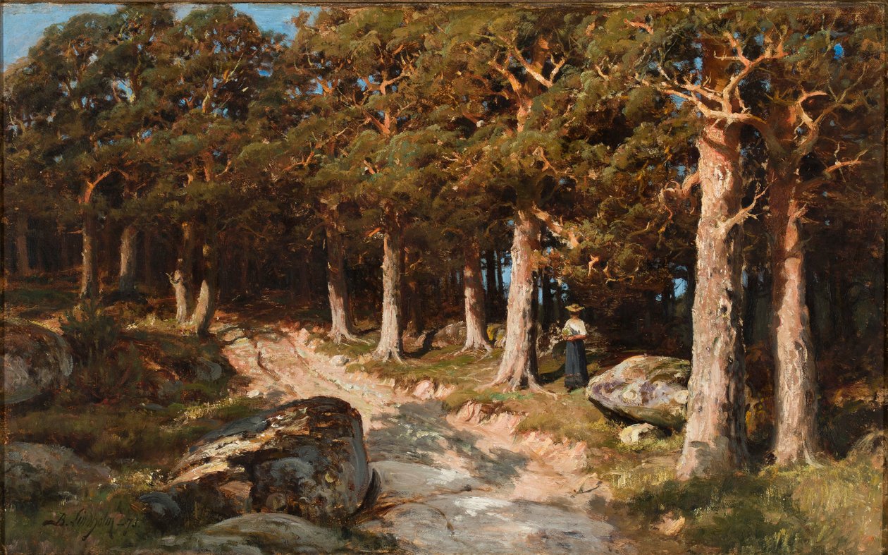 Donna nel bosco da Berndt Lindholm