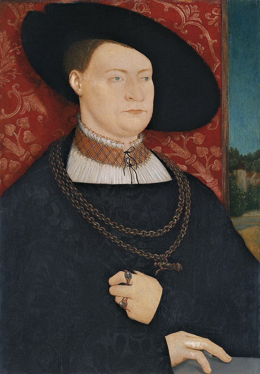 Ritratto di un uomo da Bernhard Strigel