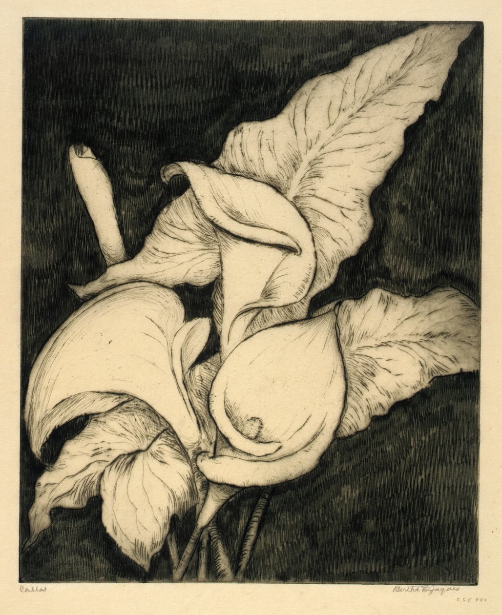 Callas da Bertha E. Jaques