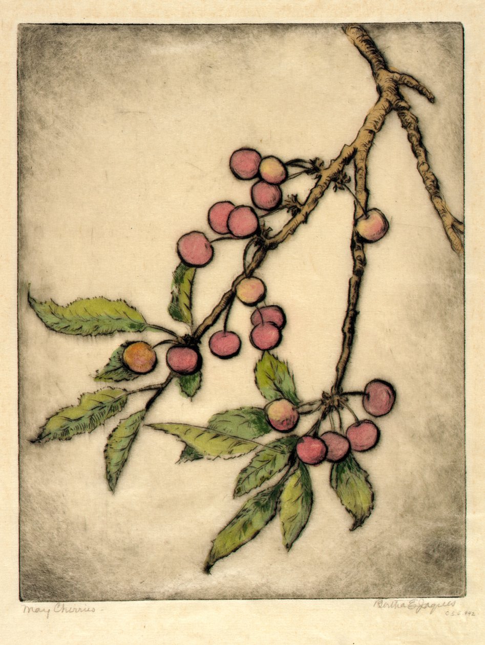 Ciliegie di maggio da Bertha E. Jaques
