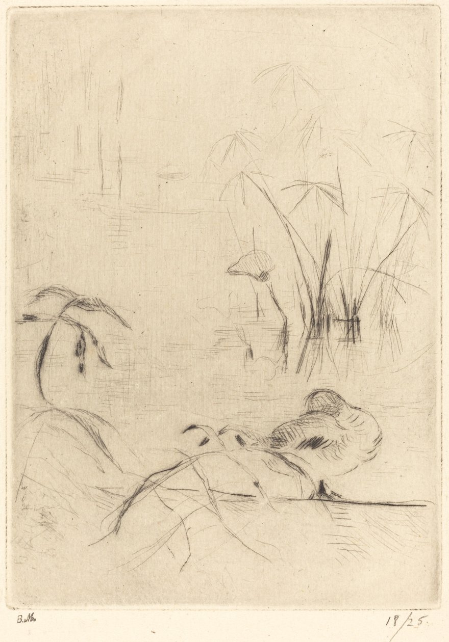 Anatre a riposo sulla riva da Berthe Morisot
