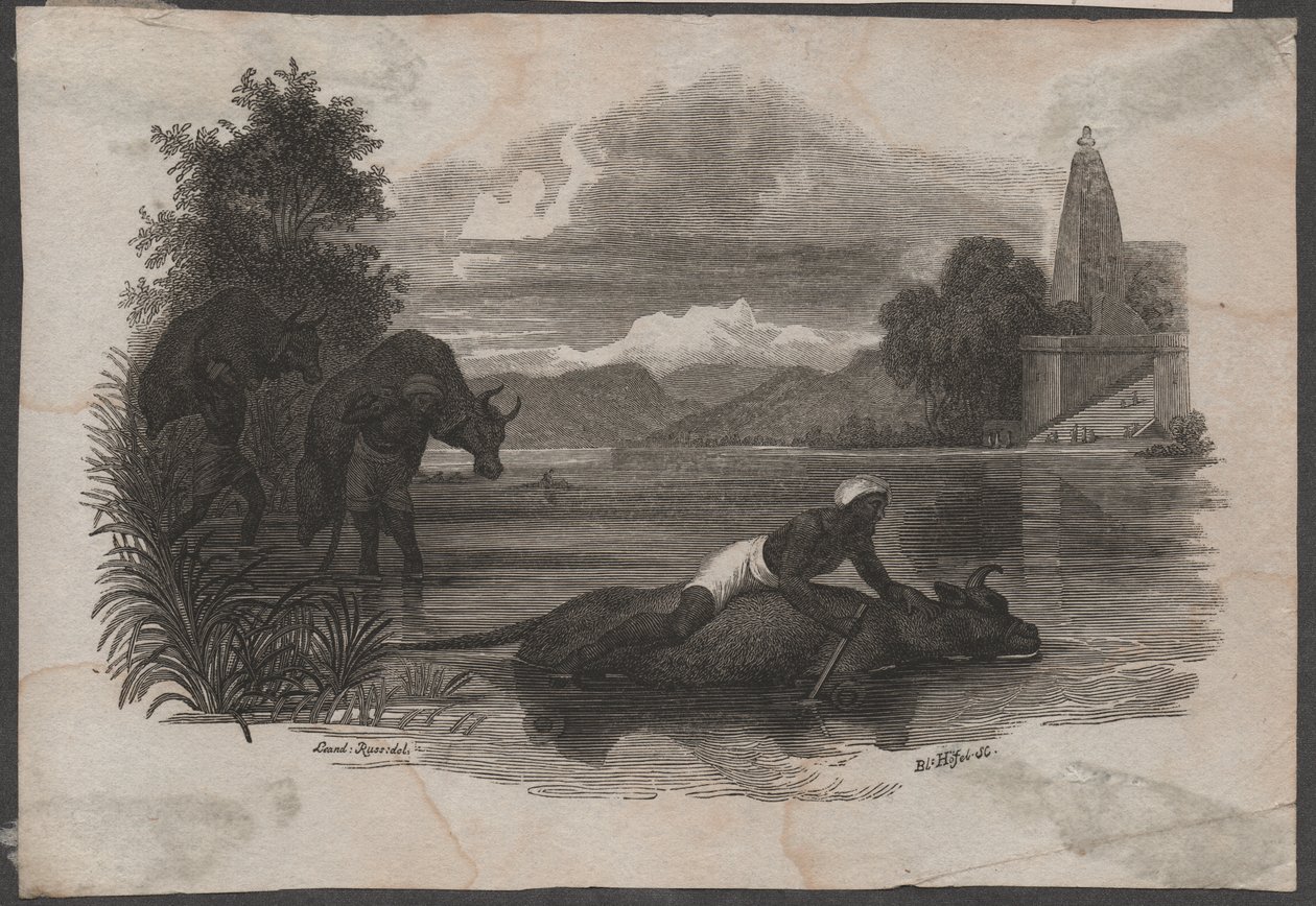 Contadini che trasportano bestiame morto, ca. 1850 (incisione) da Blasius Höfel