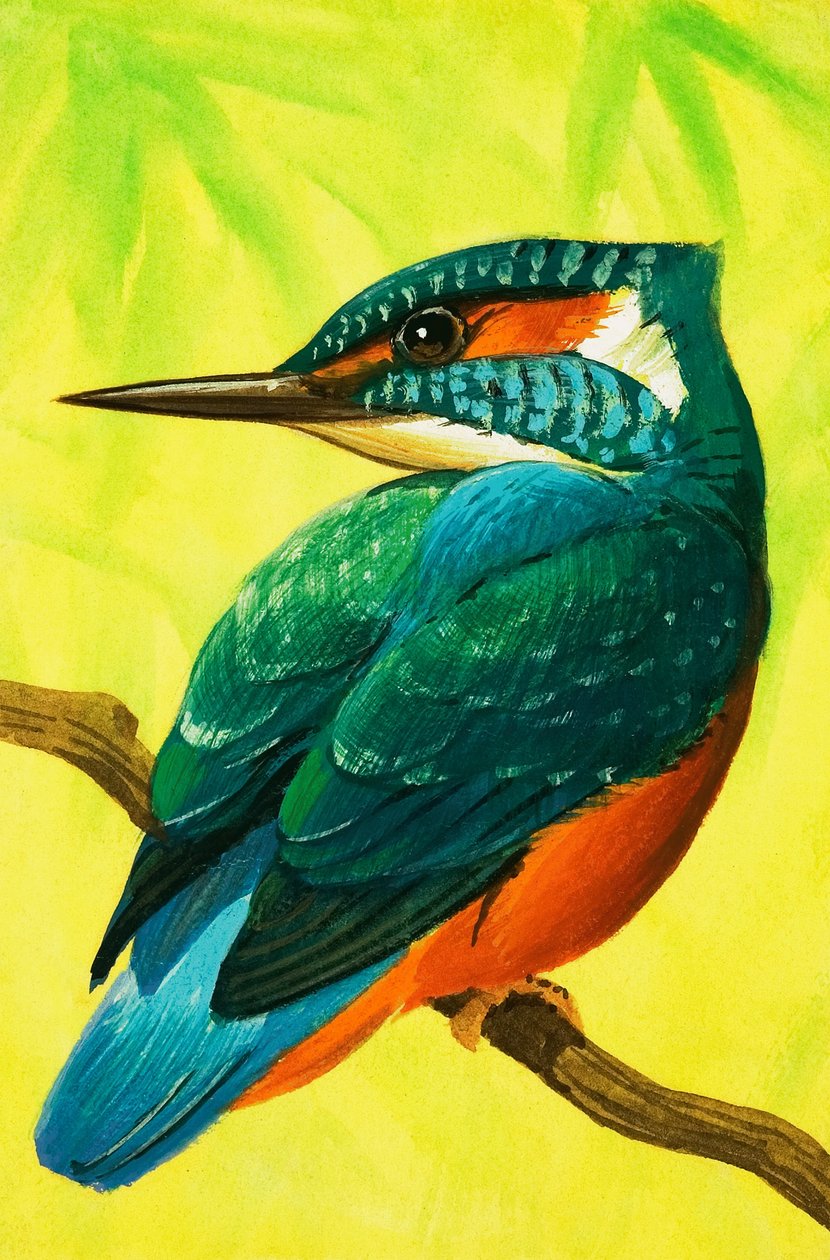 Kingfisher. da Bob Hersey