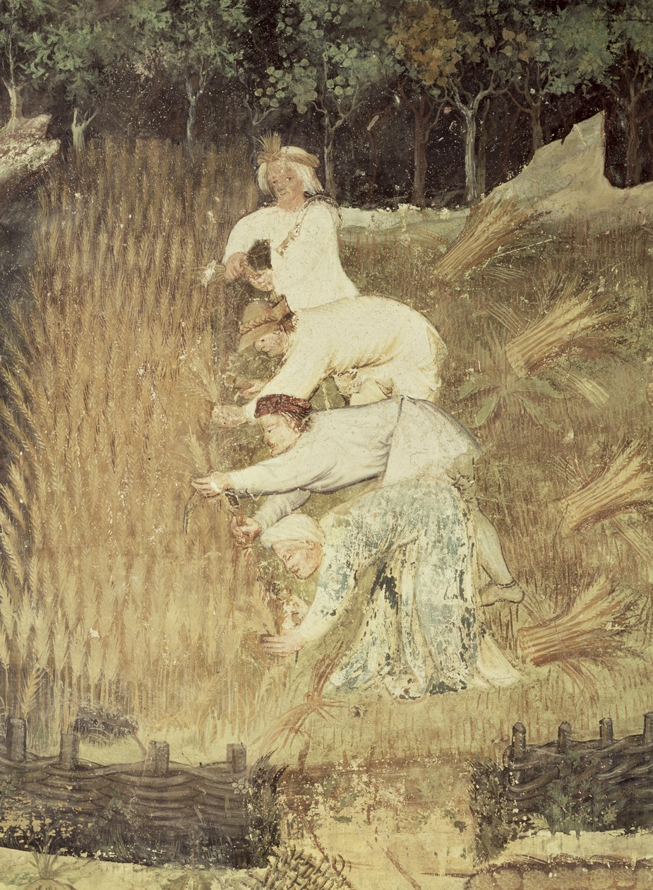 Il mese di agosto, dettaglio del raccolto, c.1400 da Bohemian School