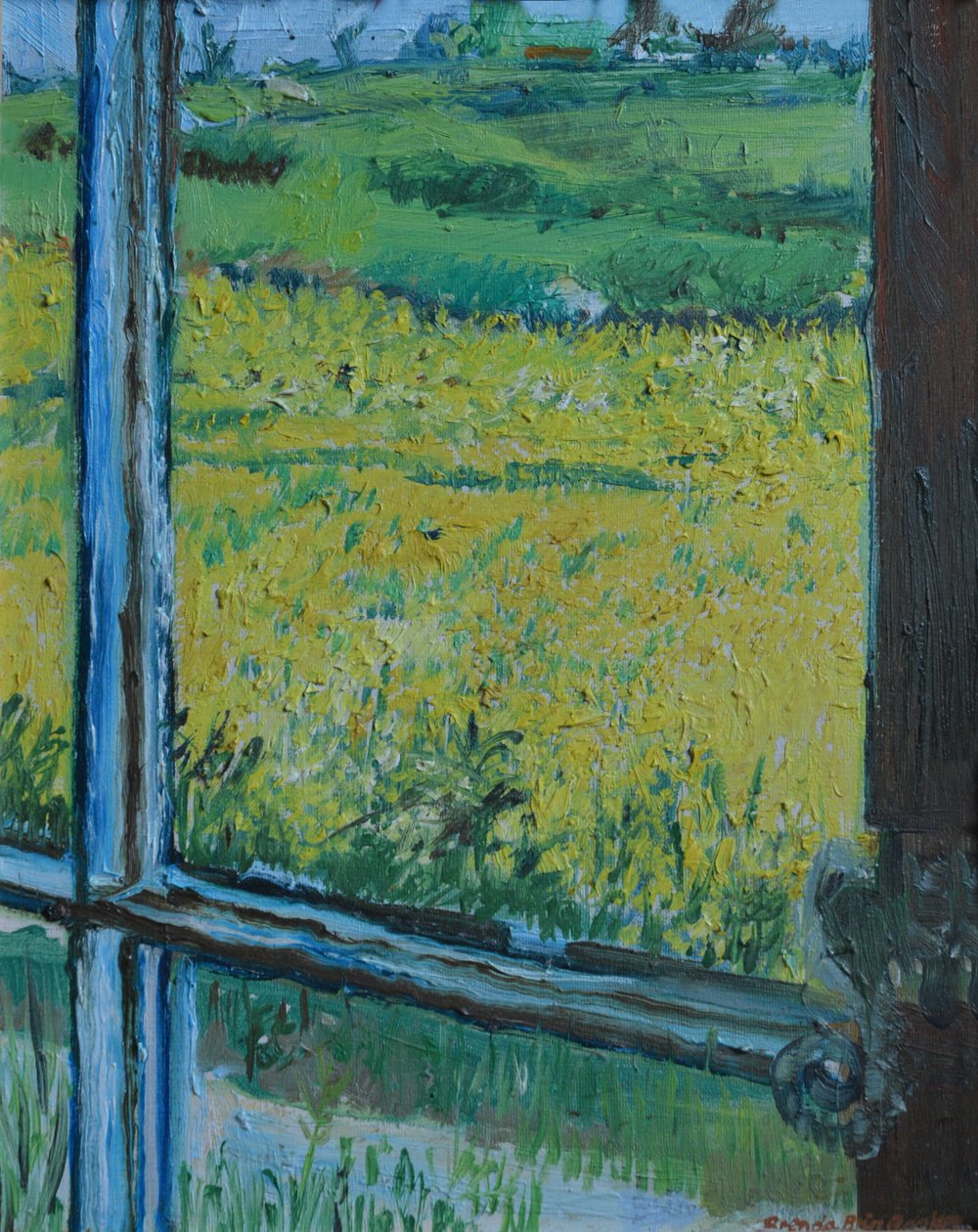 Vista dalla finestra da Brenda Brin Booker