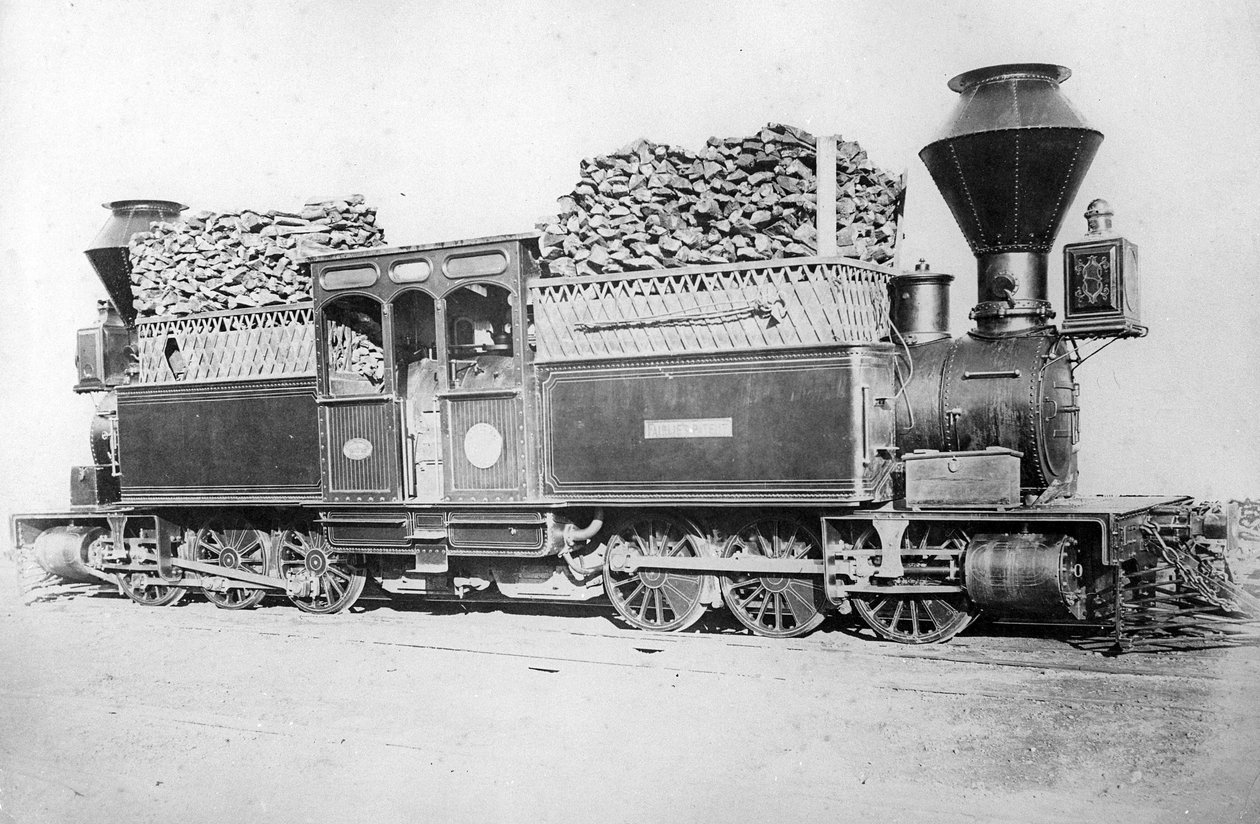 Una Doppia Locomotiva Fairlie, c.1870s da British Photographer