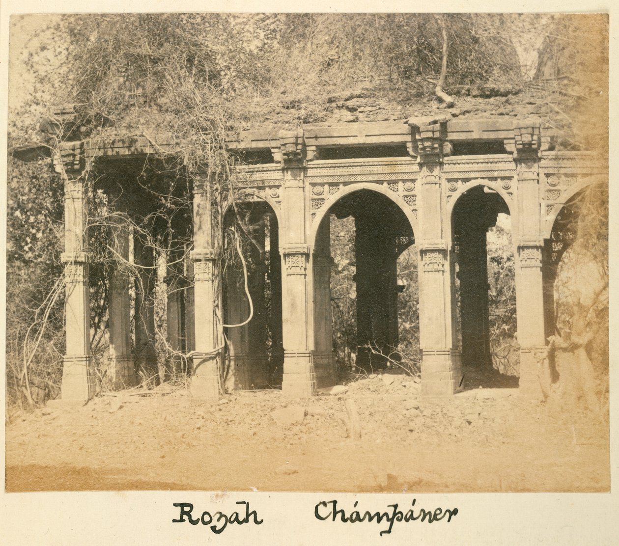 Rozah, Champaner, c.1875 da British Photographer