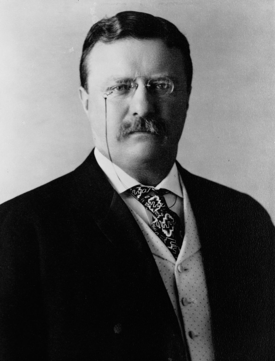 Theodore Roosevelt, c.1904 da Brothers Pach