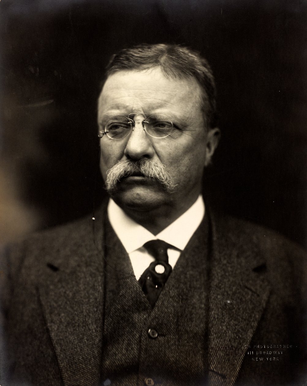 Theodore Roosevelt, c.1915 da Brothers Pach