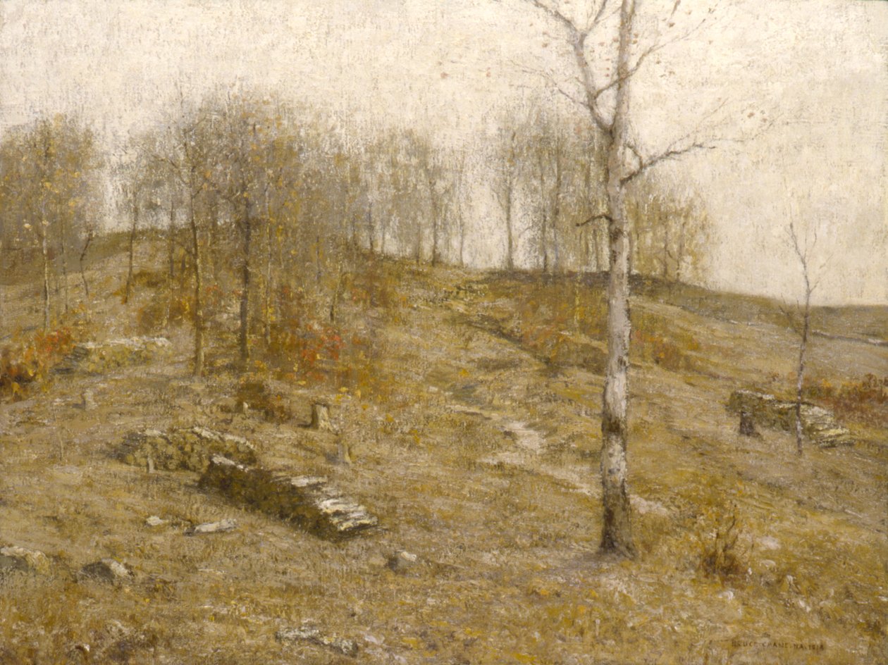 Dicembre Uplands da Bruce Crane