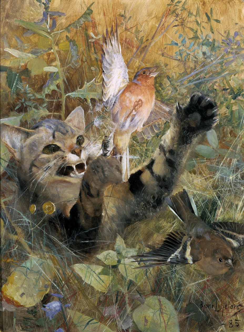 Un gatto e un fringuello, 1885 da Bruno Andreas Liljefors