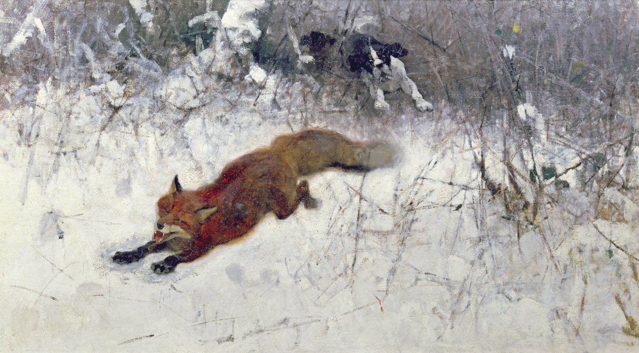 Volpe Inseguita nella Neve da Bruno Andreas Liljefors