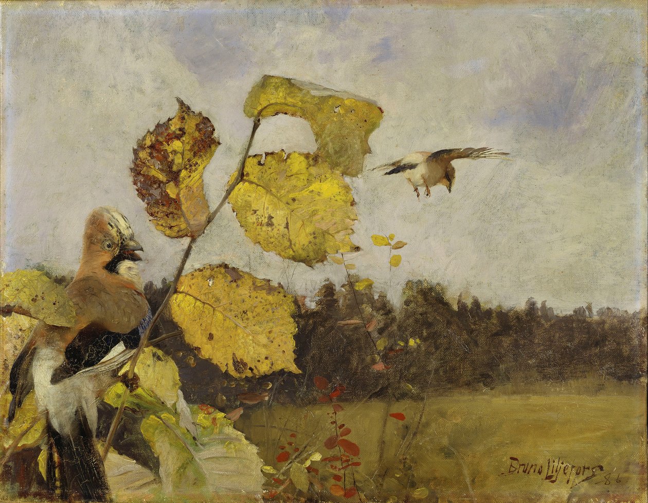 Ghiandaie da Bruno Andreas Liljefors