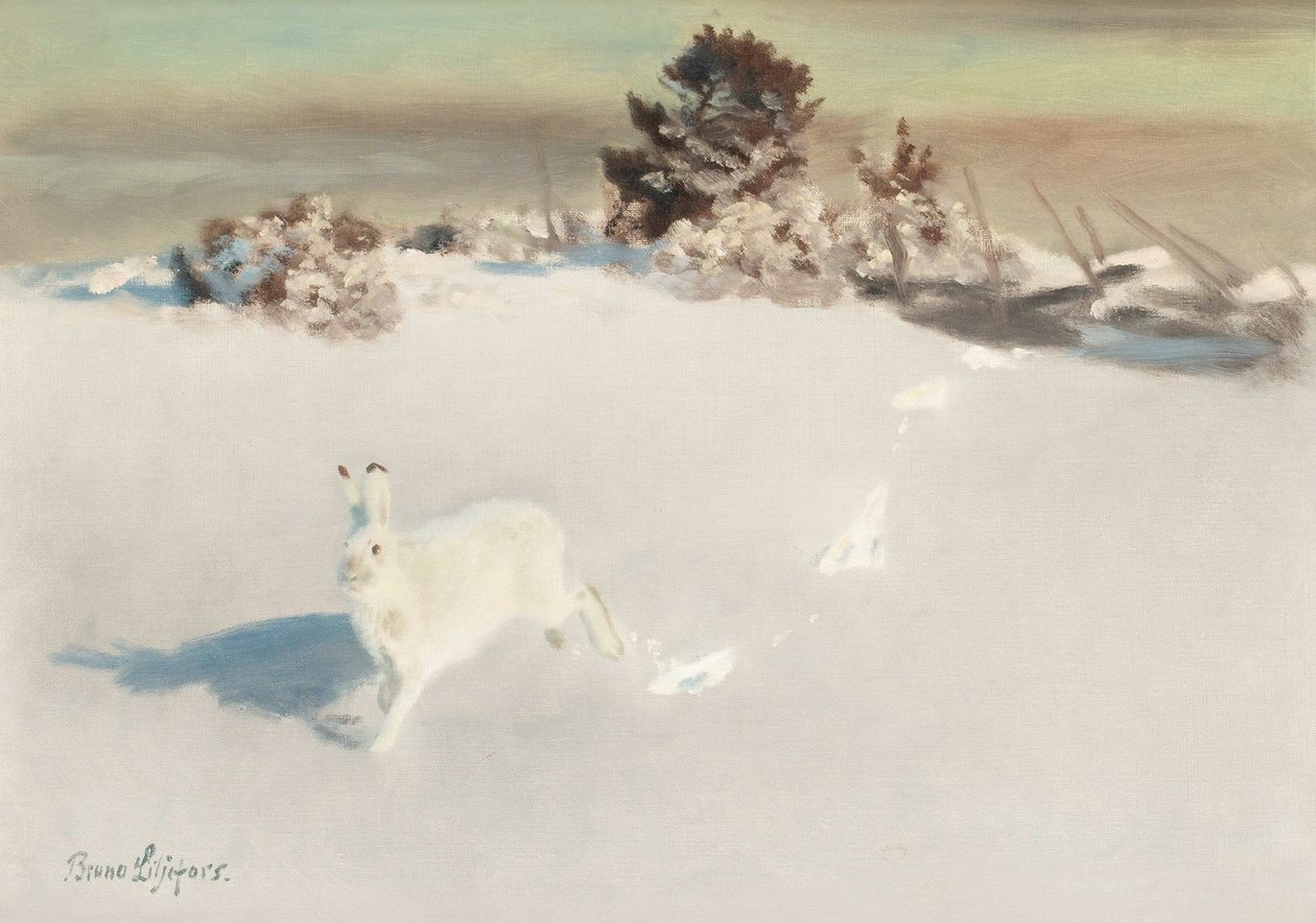 Lepre invernale vicino alla recinzione da Bruno Andreas Liljefors