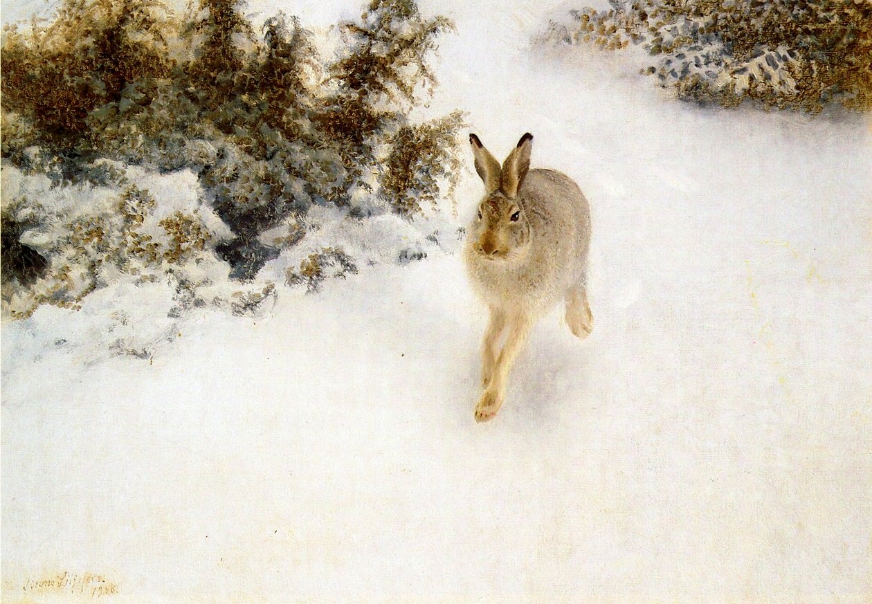 Lepre invernale da Bruno Andreas Liljefors