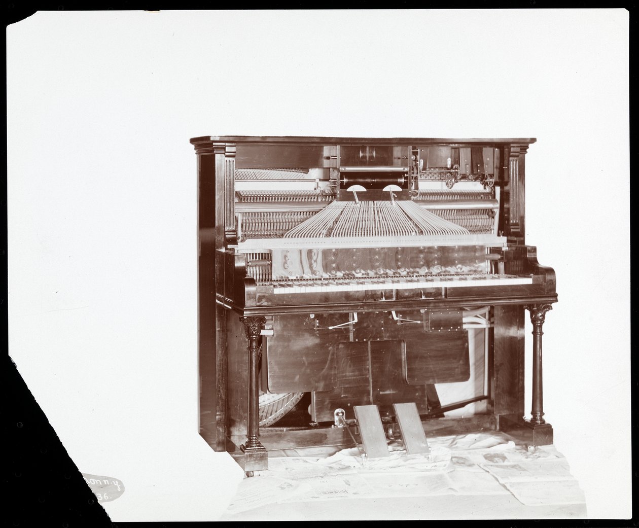 Un pianoforte automatico di Ricca e Son Piano Co., 1907 da Byron Company