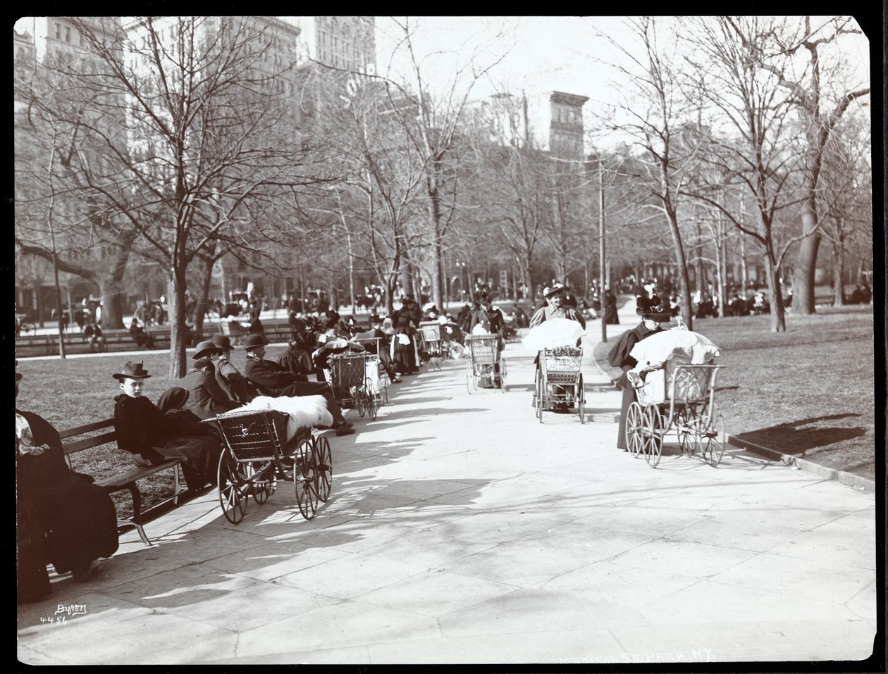 Vista di donne con carrozzine a Madison Square Park, New York, 1901 da Byron Company